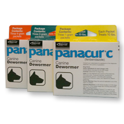 Panacur - deworming medication